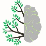 Wellbeing and Human Rights Consultancy & Practice